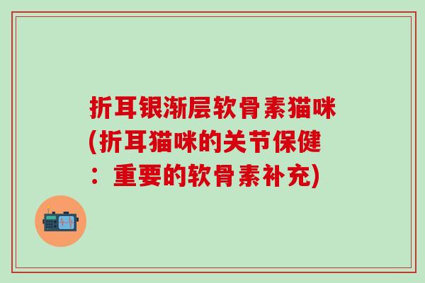 折耳银渐层软骨素猫咪(折耳猫咪的关节保健：重要的软骨素补充)
