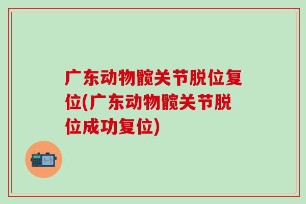 广东动物髋关节脱位复位(广东动物髋关节脱位成功复位)