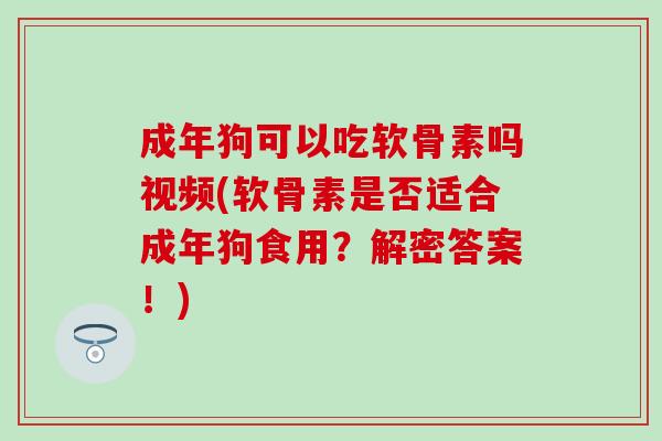 成年狗可以吃软骨素吗视频(软骨素是否适合成年狗食用？解密答案！)
