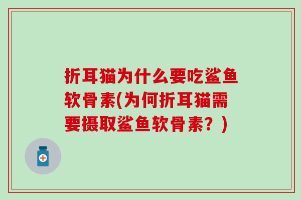 折耳猫为什么要吃鲨鱼软骨素(为何折耳猫需要摄取鲨鱼软骨素？)