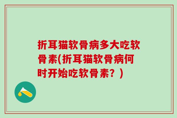 折耳猫软骨病多大吃软骨素(折耳猫软骨病何时开始吃软骨素？)