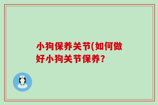 小狗保养关节(如何做好小狗关节保养？