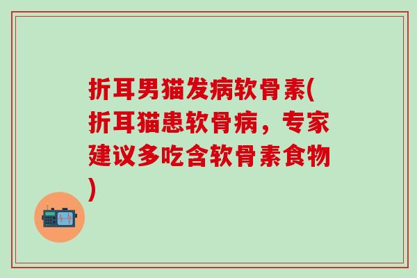 折耳男猫发病软骨素(折耳猫患软骨病，专家建议多吃含软骨素食物)