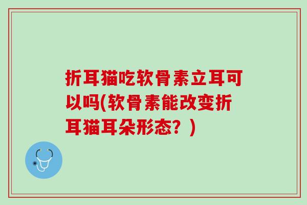 折耳猫吃软骨素立耳可以吗(软骨素能改变折耳猫耳朵形态？)