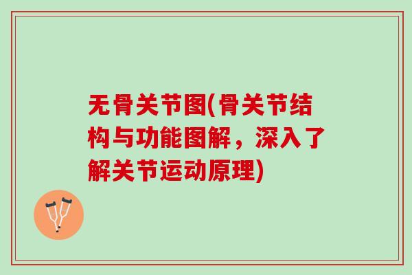 无骨关节图(骨关节结构与功能图解，深入了解关节运动原理)