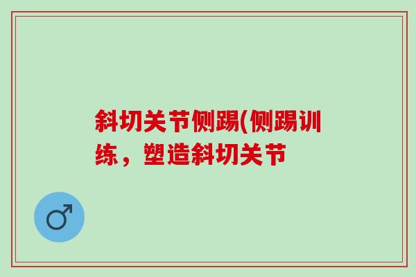 斜切关节侧踢(侧踢训练，塑造斜切关节