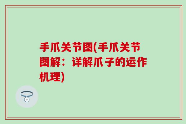 手爪关节图(手爪关节图解：详解爪子的运作机理)