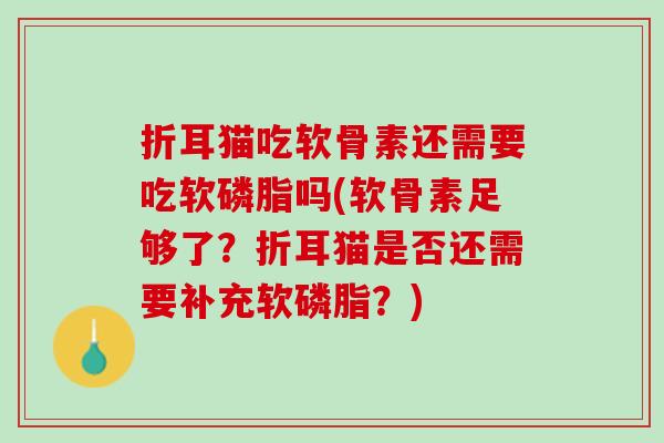 折耳猫吃软骨素还需要吃软磷脂吗(软骨素足够了？折耳猫是否还需要补充软磷脂？)
