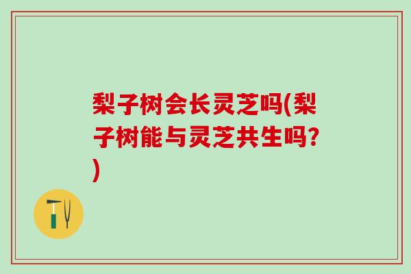 梨子树会长灵芝吗(梨子树能与灵芝共生吗？)