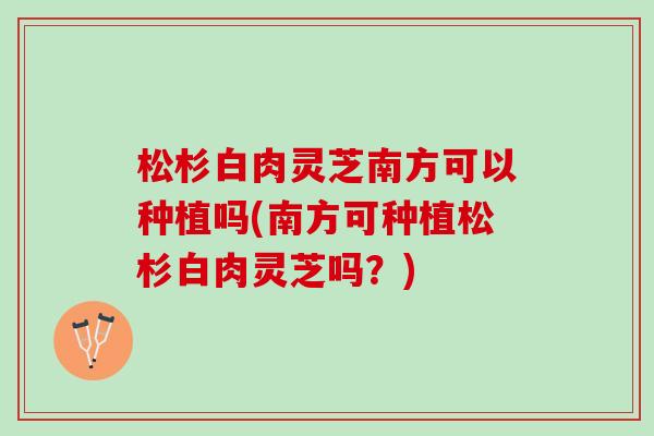松杉白肉灵芝南方可以种植吗(南方可种植松杉白肉灵芝吗？)