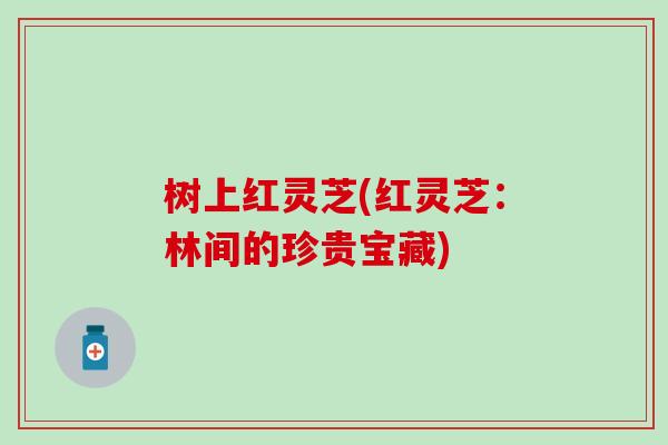 树上红灵芝(红灵芝：林间的珍贵宝藏)