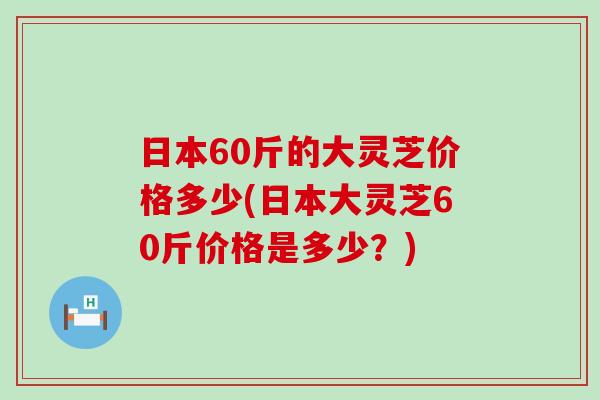 日本60斤的大灵芝价格多少(日本大灵芝60斤价格是多少？)