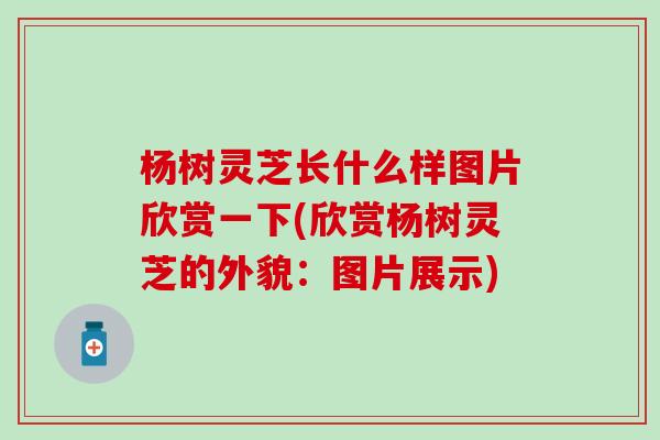 杨树灵芝长什么样图片欣赏一下(欣赏杨树灵芝的外貌：图片展示)