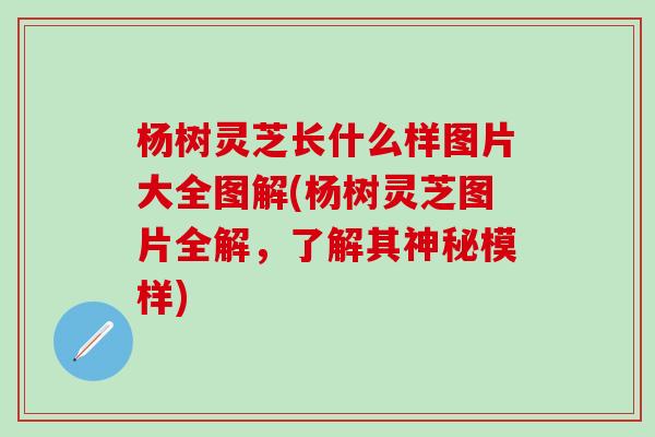杨树灵芝长什么样图片大全图解(杨树灵芝图片全解，了解其神秘模样)