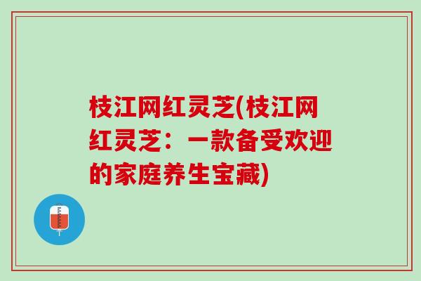 枝江网红灵芝(枝江网红灵芝：一款备受欢迎的家庭养生宝藏)