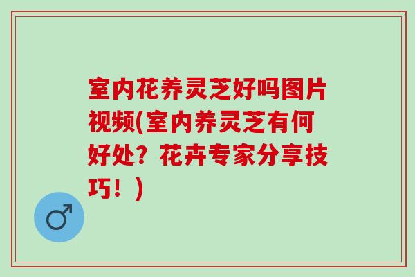 室内花养灵芝好吗图片视频(室内养灵芝有何好处？花卉专家分享技巧！)