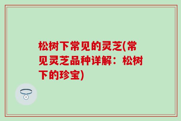 松树下常见的灵芝(常见灵芝品种详解：松树下的珍宝)
