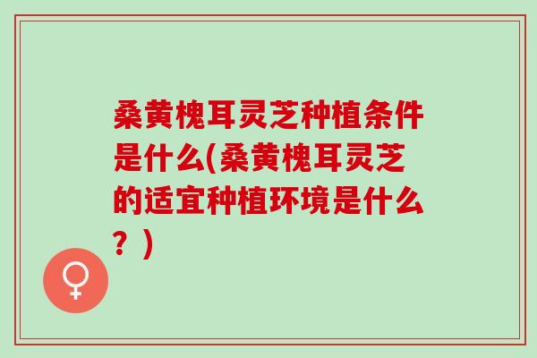 桑黄槐耳灵芝种植条件是什么(桑黄槐耳灵芝的适宜种植环境是什么？)