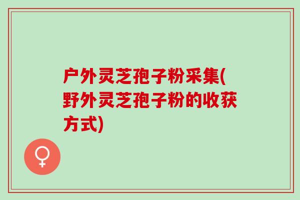 户外灵芝孢子粉采集(野外灵芝孢子粉的收获方式)