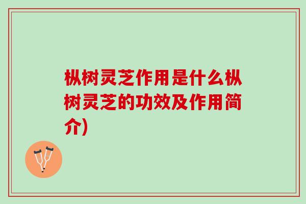 枞树灵芝作用是什么枞树灵芝的功效及作用简介)