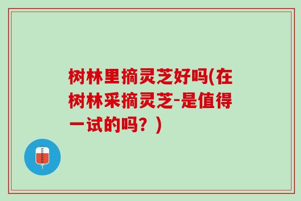 树林里摘灵芝好吗(在树林采摘灵芝-是值得一试的吗？)