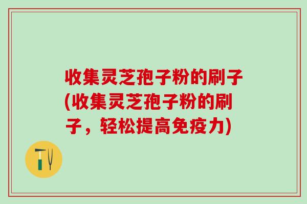 收集灵芝孢子粉的刷子(收集灵芝孢子粉的刷子,轻松提高) 收集灵芝孢子粉的刷子(收集灵芝孢子粉的刷子,轻松提高)