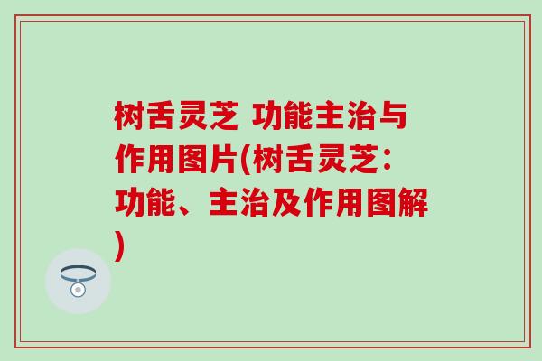 树舌灵芝 功能主治与作用图片(树舌灵芝：功能、主治及作用图解)