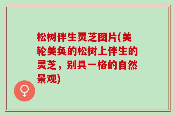 松树伴生灵芝图片(美轮美奂的松树上伴生的灵芝，别具一格的自然景观)
