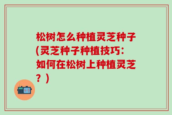 松树怎么种植灵芝种子(灵芝种子种植技巧：如何在松树上种植灵芝？)