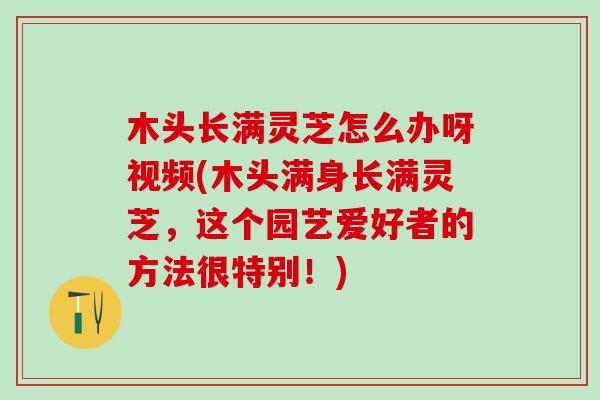 木头长满灵芝怎么办呀视频(木头满身长满灵芝，这个园艺爱好者的方法很特别！)