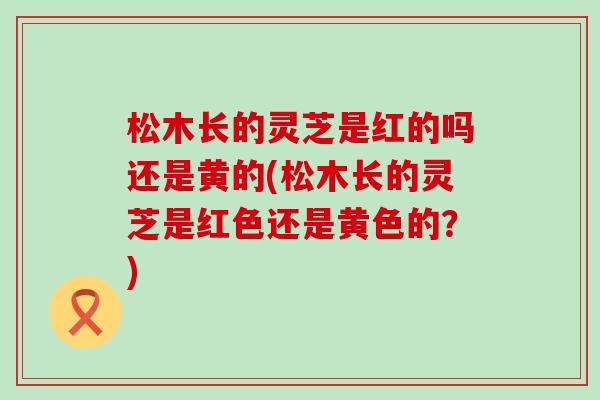 松木长的灵芝是红的吗还是黄的(松木长的灵芝是红色还是黄色的？)