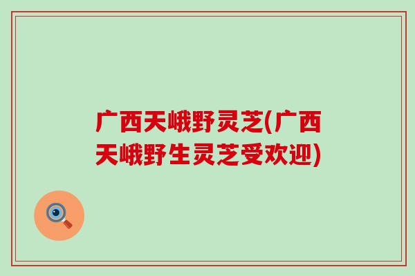 广西天峨野灵芝(广西天峨野生灵芝受欢迎)