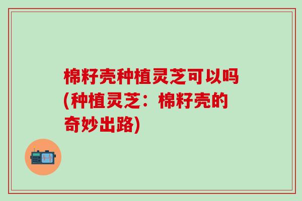 棉籽壳种植灵芝可以吗(种植灵芝：棉籽壳的奇妙出路)
