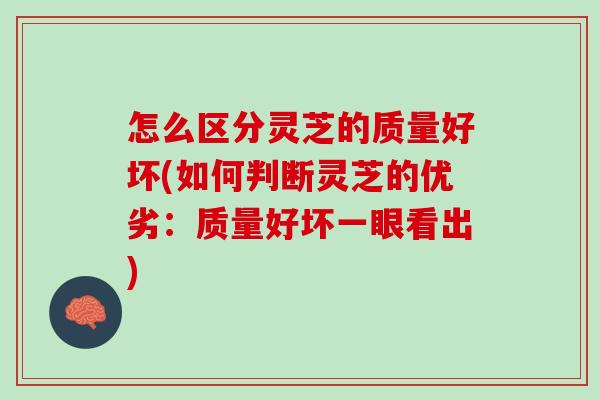 怎么区分灵芝的质量好坏(如何判断灵芝的优劣：质量好坏一眼看出)
