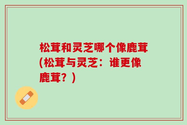 松茸和灵芝哪个像鹿茸(松茸与灵芝：谁更像鹿茸？)
