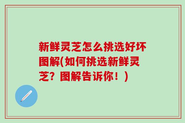 新鲜灵芝怎么挑选好坏图解(如何挑选新鲜灵芝？图解告诉你！)
