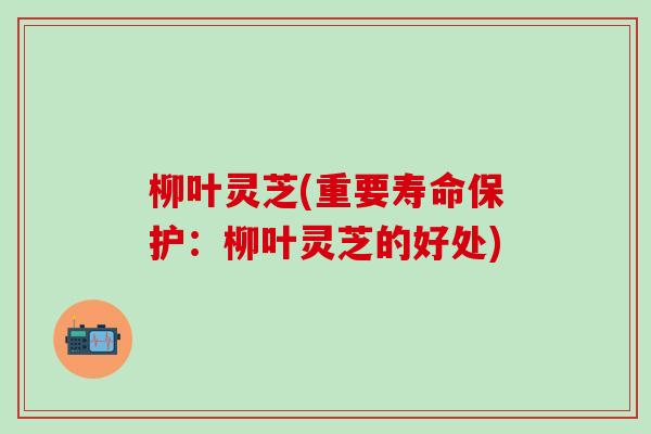 柳叶灵芝(重要寿命保护：柳叶灵芝的好处)