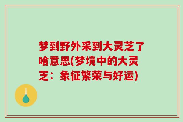 梦到野外采到大灵芝了啥意思(梦境中的大灵芝：象征繁荣与好运)