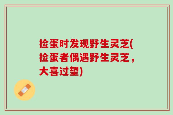 捡蛋时发现野生灵芝(捡蛋者偶遇野生灵芝，大喜过望)