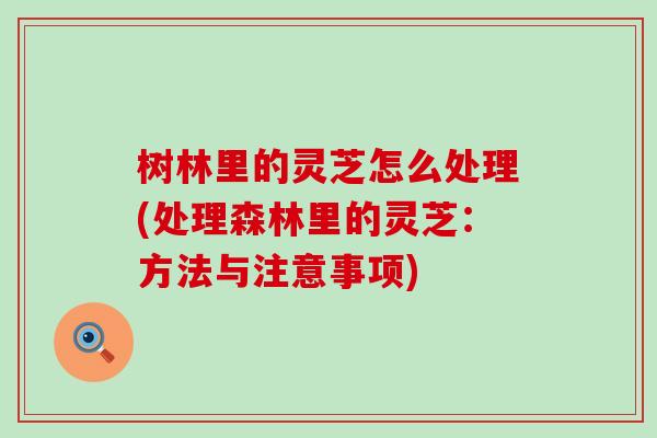 树林里的灵芝怎么处理(处理森林里的灵芝：方法与注意事项)