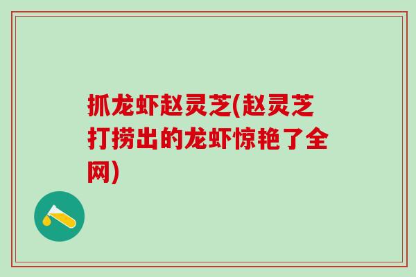 抓龙虾赵灵芝(赵灵芝打捞出的龙虾惊艳了全网)