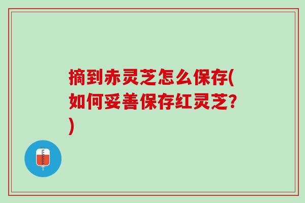 摘到赤灵芝怎么保存(如何妥善保存红灵芝？)
