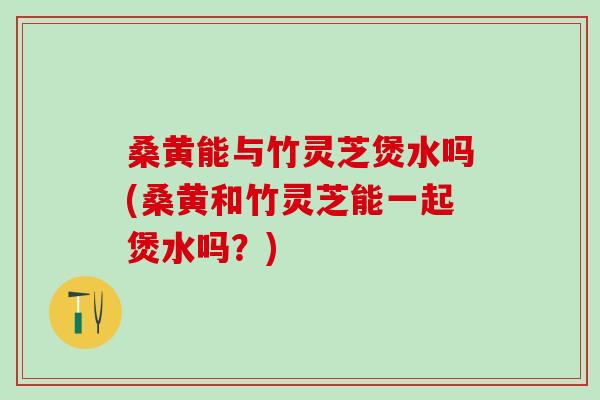 桑黄能与竹灵芝煲水吗(桑黄和竹灵芝能一起煲水吗？)