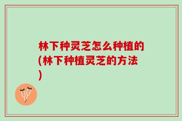 林下种灵芝怎么种植的(林下种植灵芝的方法)