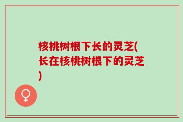 核桃树根下长的灵芝(长在核桃树根下的灵芝)
