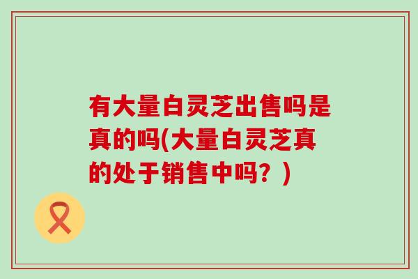 有大量白灵芝出售吗是真的吗(大量白灵芝真的处于销售中吗？)