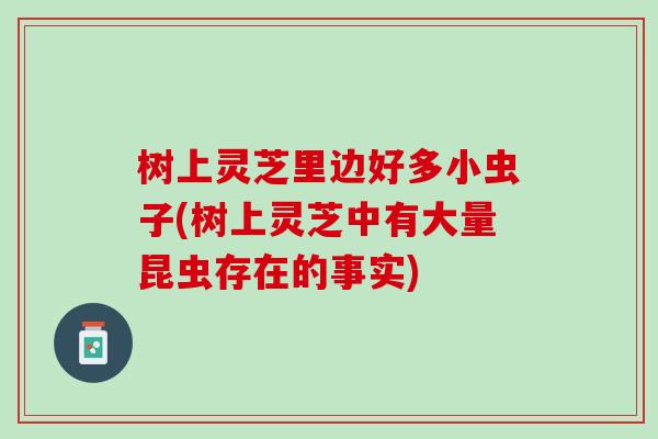 树上灵芝里边好多小虫子(树上灵芝中有大量昆虫存在的事实)
