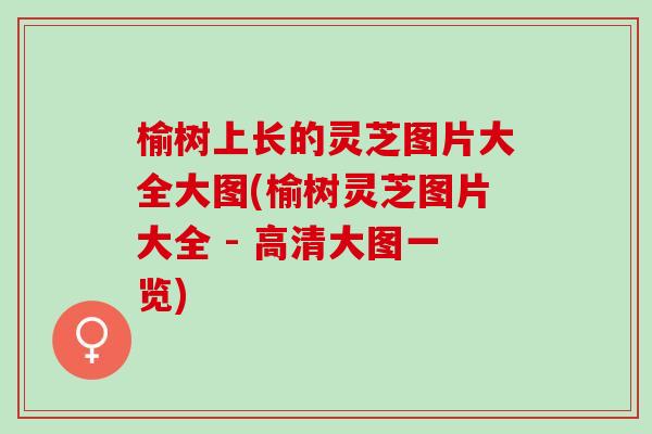 榆树上长的灵芝图片大全大图(榆树灵芝图片大全 - 高清大图一览)