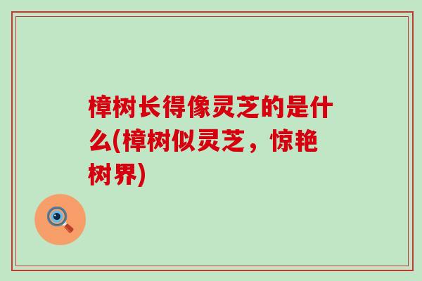 樟树长得像灵芝的是什么(樟树似灵芝，惊艳树界)