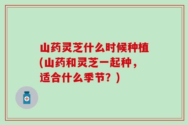 山药灵芝什么时候种植(山药和灵芝一起种，适合什么季节？)